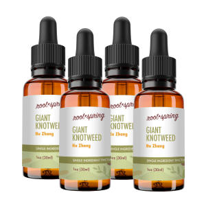 image of Giant Knotweed 4pk
