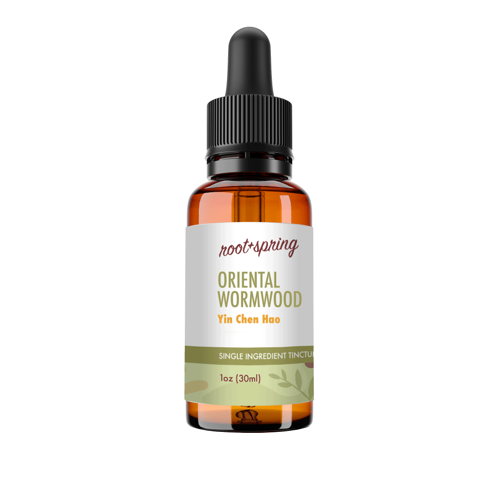image of Yin Chen Hao (Oriental Wormwood / Artemisia) – Liquid Extract (Tincture)