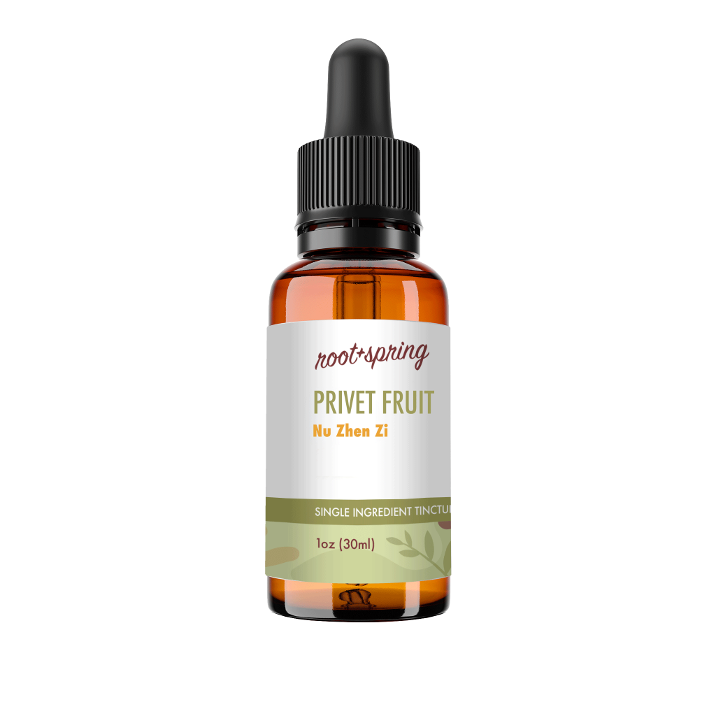 image of Nu Zhen Zi (Ligustrum / Privet Fruit) – Liquid Extract (Tincture)