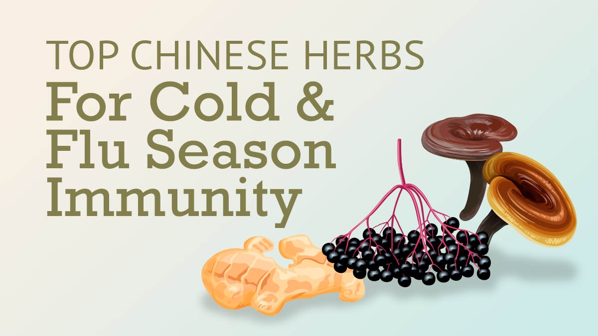 Top Chinese Herbs for Boosting Immunity During Cold and Flu Season