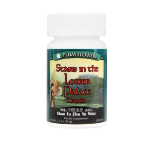 Image of Plum Flower – Stasis in the Lower Palace (Shao Fu Zhu Yu Wan)