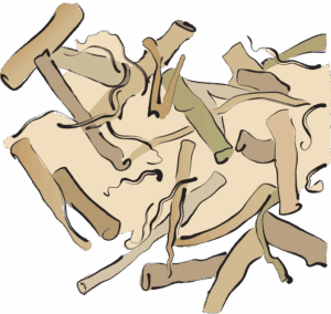 Bai Qian Cynanchum Glaucescens Rhizome