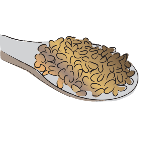 Bai Zi Ren Biota Seeds