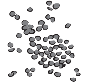 Bi Cheng Qie Litsea Cubebae