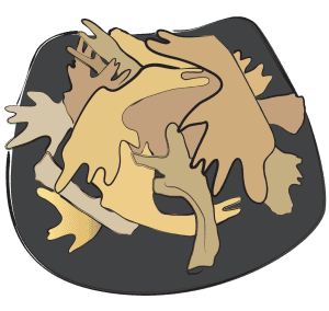 Bie Jia Tortoise Shell Carapax Trionycis