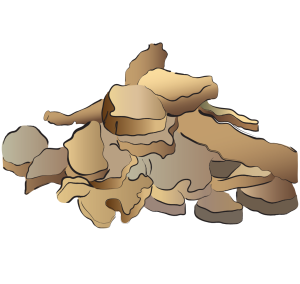 Dang Zhu Black Atractylodes