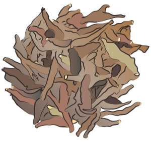 Cao Wu Aconite Tsaowu Radix Aconiti Kusnezoffii