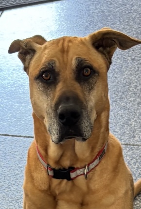 Image #1 from Stephanie L.