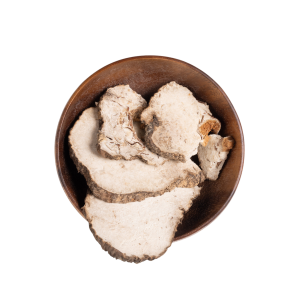 image of Poria Mushroom (Tuckahoe) out of the bag