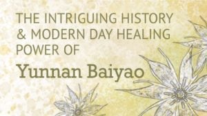 The Intriguing History & Modern Day Healing Powers of Yunnan Baiyao | Best Chinese Medicines