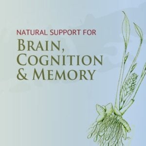 Brain, Cognition & Memory