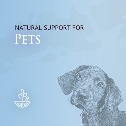 Are Chinese Herbs Safe For Dogs