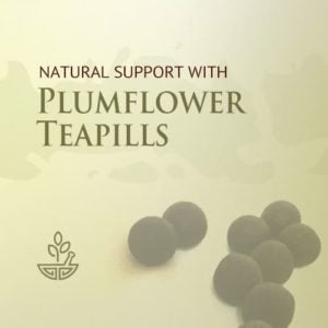 Plum Flower® Teapills & Tablets - by Mayway