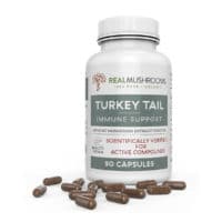 turkey tail mushroom capsules 1